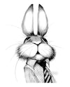 Boss Bunny Black and White